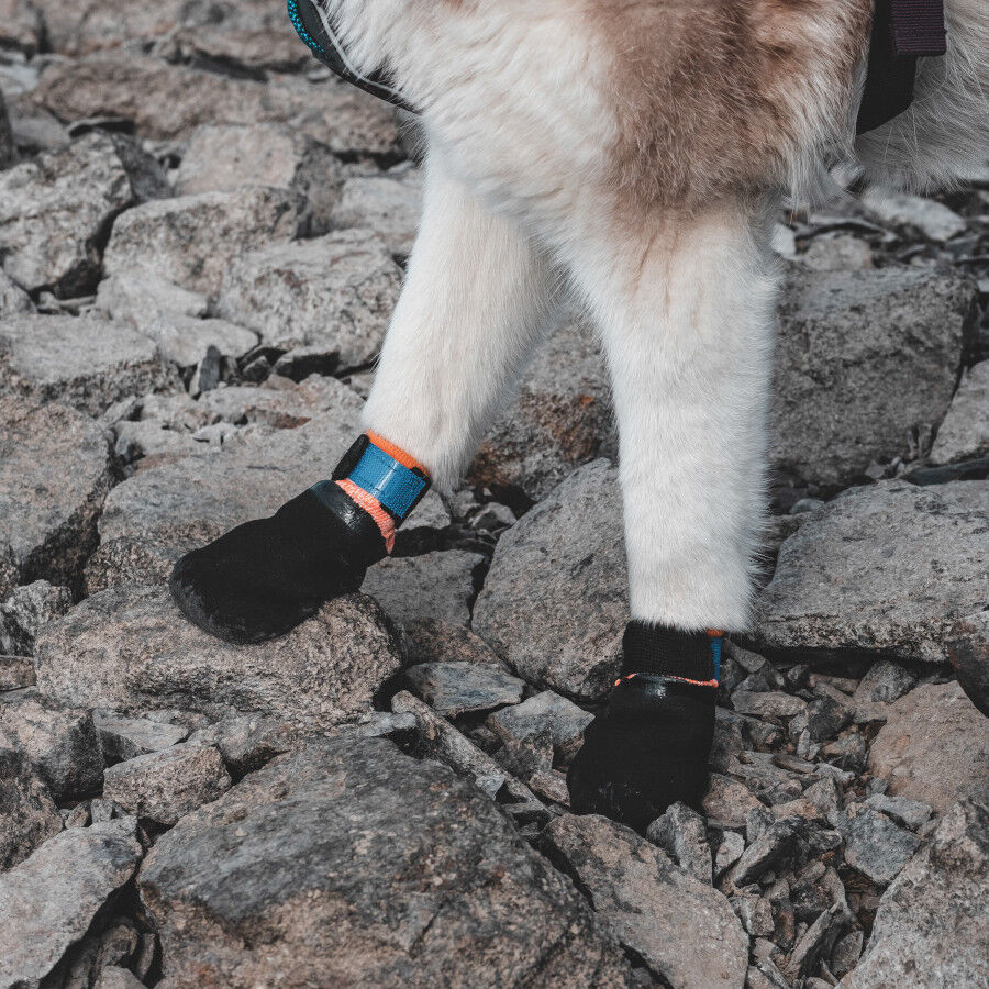 Non-stop dogwear Protector Bot&iacute;n Negro y Naranja para perros, , large Imagen numero 7