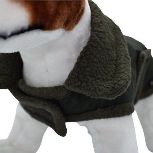 Loyal capa nobuk gris para perros, , large Imagen numero 4