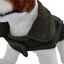 Loyal capa nobuk gris para perros, , large indicador imagen numero 4