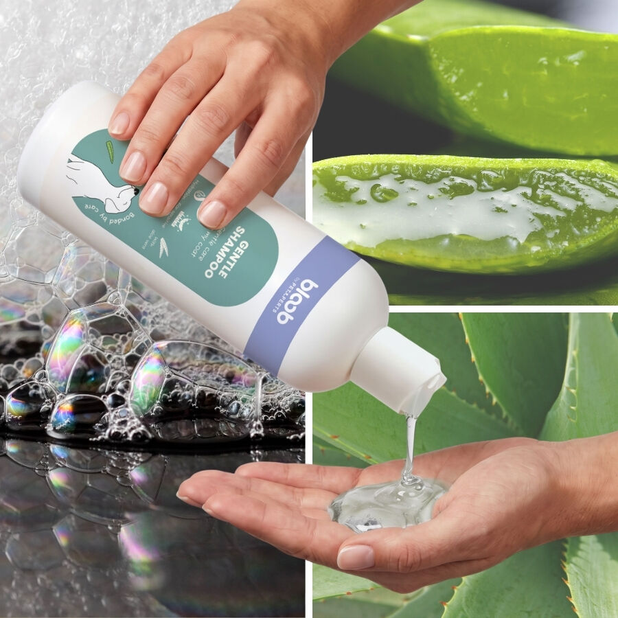 Bloob Champ&uacute; Piel Sensible Aloe Vera para perrros, , large Imagen numero 5