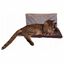 Hamaca Para Gatos, , large indicador imagen numero 3