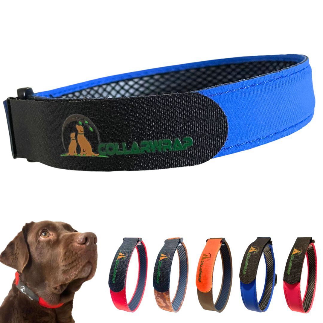 COLLARWRAP Funda Collar Antiparasitario Azul para perros thumbnail