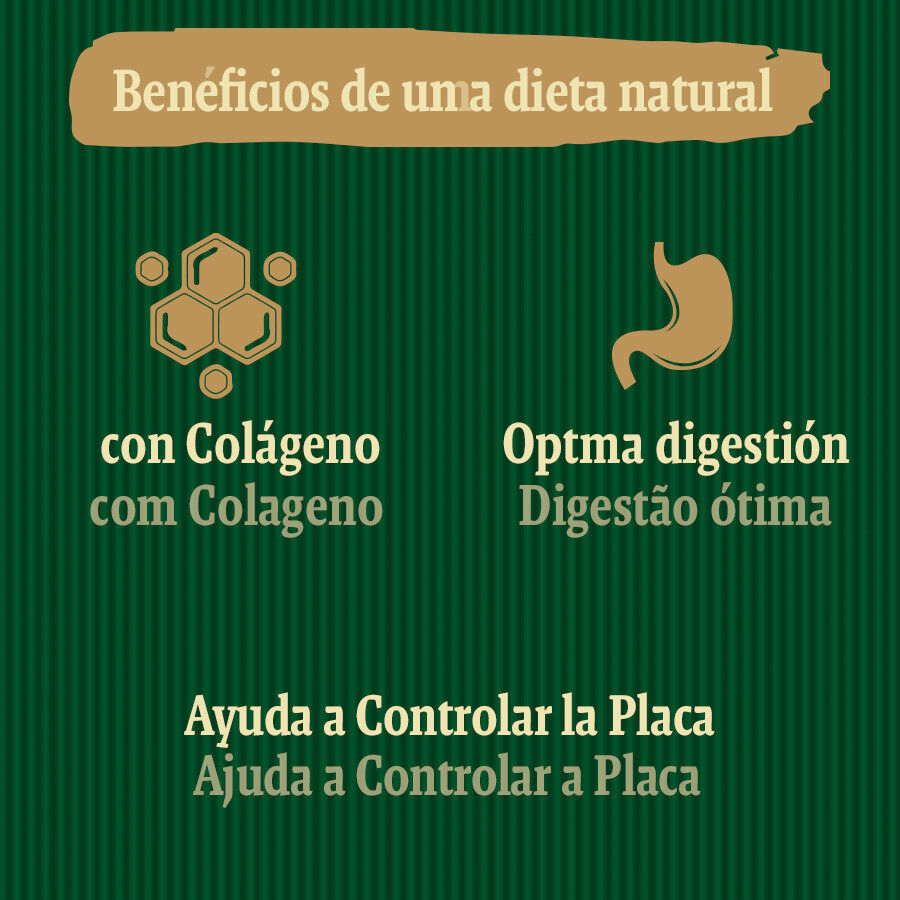 1 ud. True Origins Wild Dental Care Chewing Sticks Snack para perros, , large Imagen numero 5