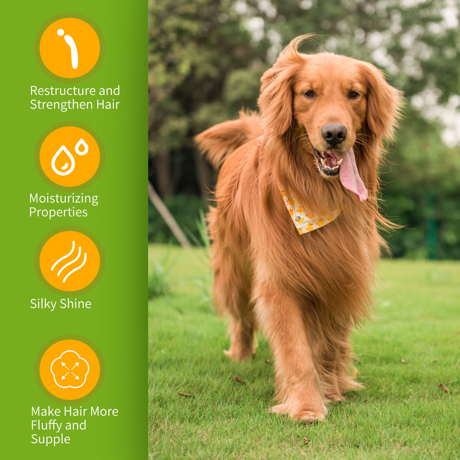 Nobleza Champ&uacute; para Perros Pelo Largo, Champ&uacute; Perros Piel Sensible y Dermatitis, champ&uacute; para perros anti olores con Extracto de Hoja de Camellia Sinernsis, Fragancia de Lavanda y C&iacute;tricos 250 ml, , large Imagen numero 4