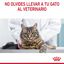 85 g Royal Canin Hairball sobre en salsa para gatos, , large indicador imagen numero 9