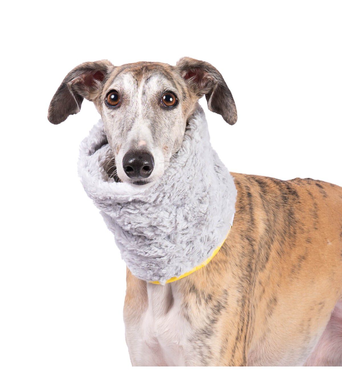 Cuello Bufanda para perro Groc Groc Uoamy Gris Peluche, , large Imagen numero 1
