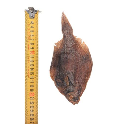 Dognia Pescado Platija para perros, , large Imagen numero 2