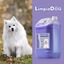 LIMPIADOG Champu para perros pelo blanco, ilumina el pelaje de tu mascota aroma Fresco y Natural 5 Litros, , large indicador imagen numero 4