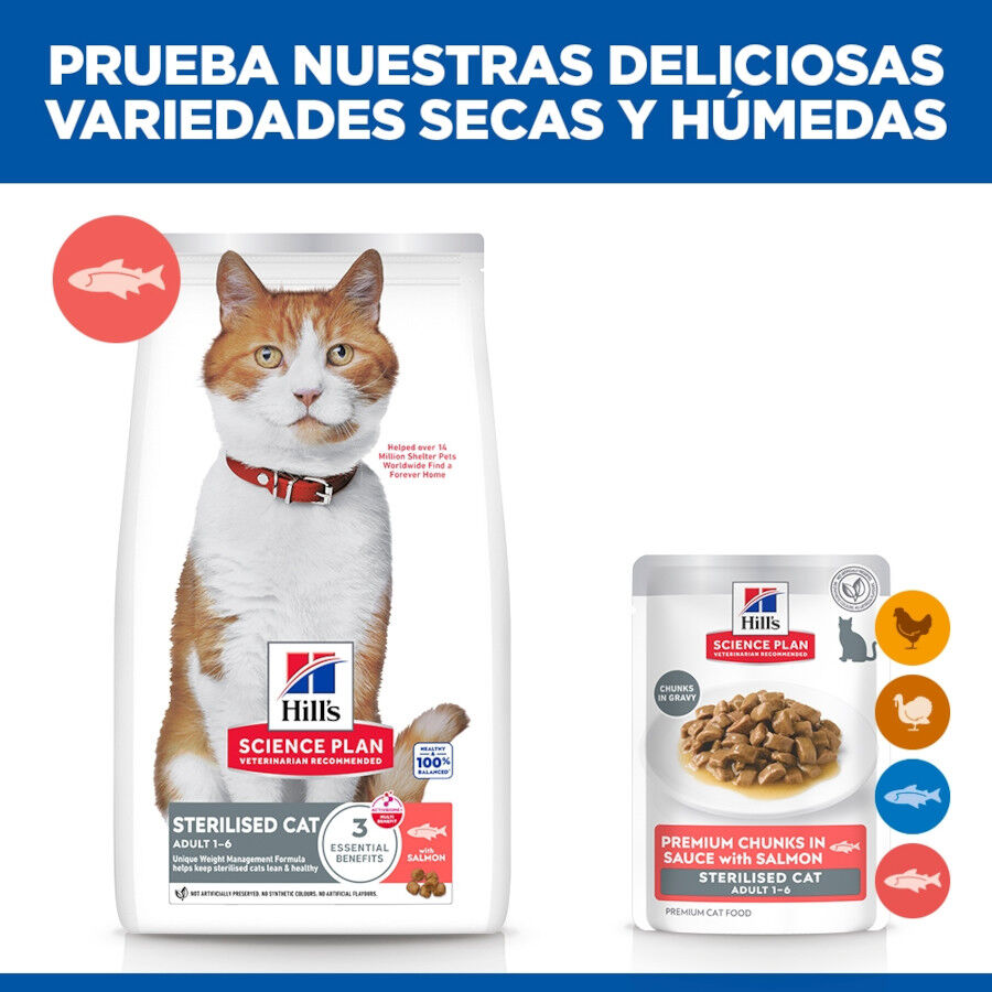 85 g Hill's Science Plan Sterilized Young Adult Salm&oacute;n sobre para gatos, , large Imagen numero 6