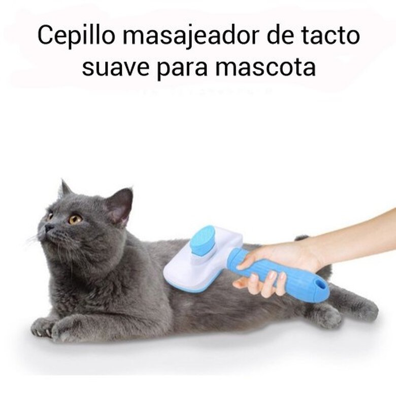 Cepillo para mascotas color Azul, , large image number null