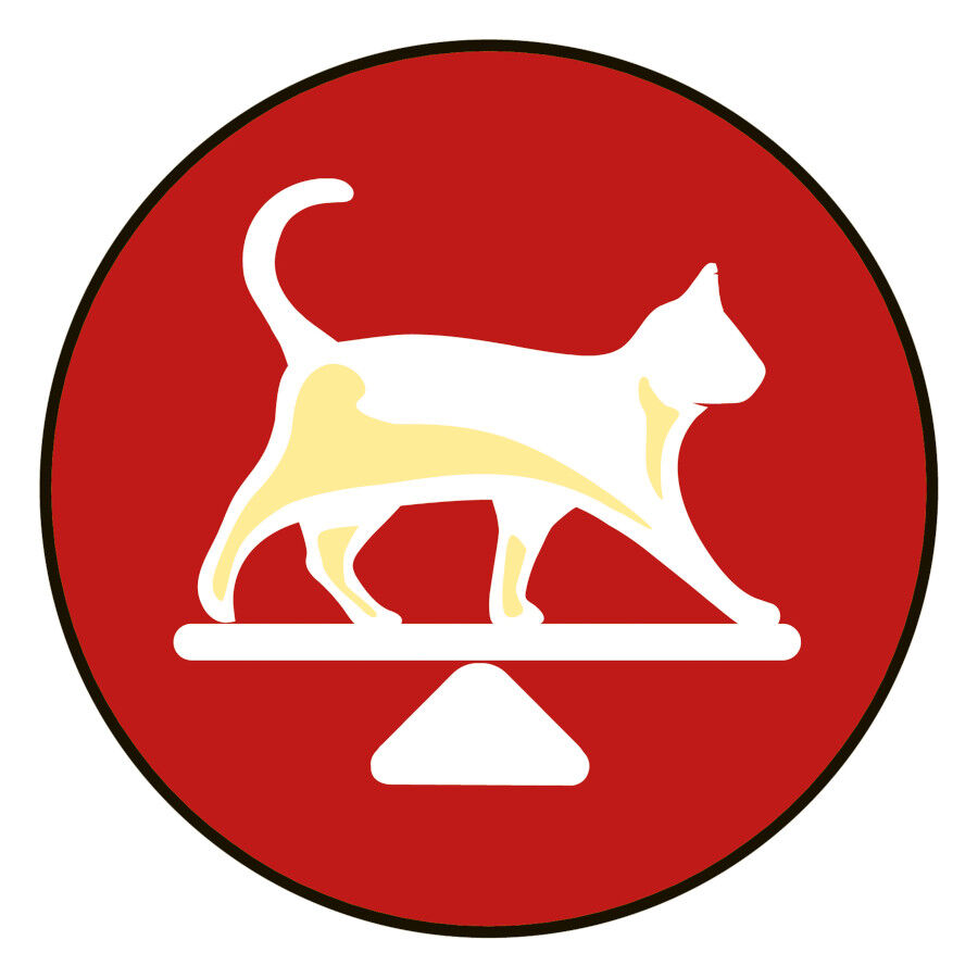 400 g Friskies Adult Buey e h&iacute;gado en Pat&eacute; lata para gatos, , large Imagen numero 9