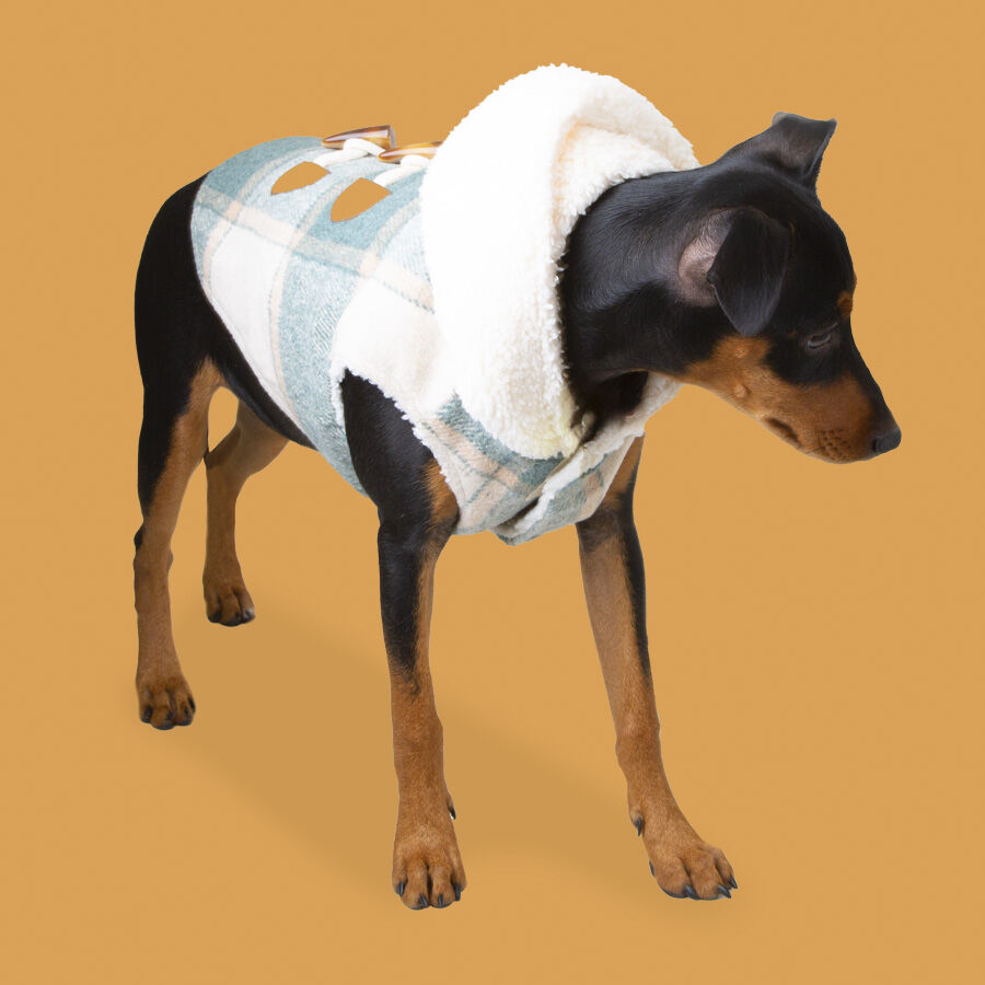 Outech Trenca Azul para perros, , large Imagen numero 2