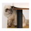 Catit Rascador Vesper High Base Negro para gatos color Negro, , large indicador imagen numero 4