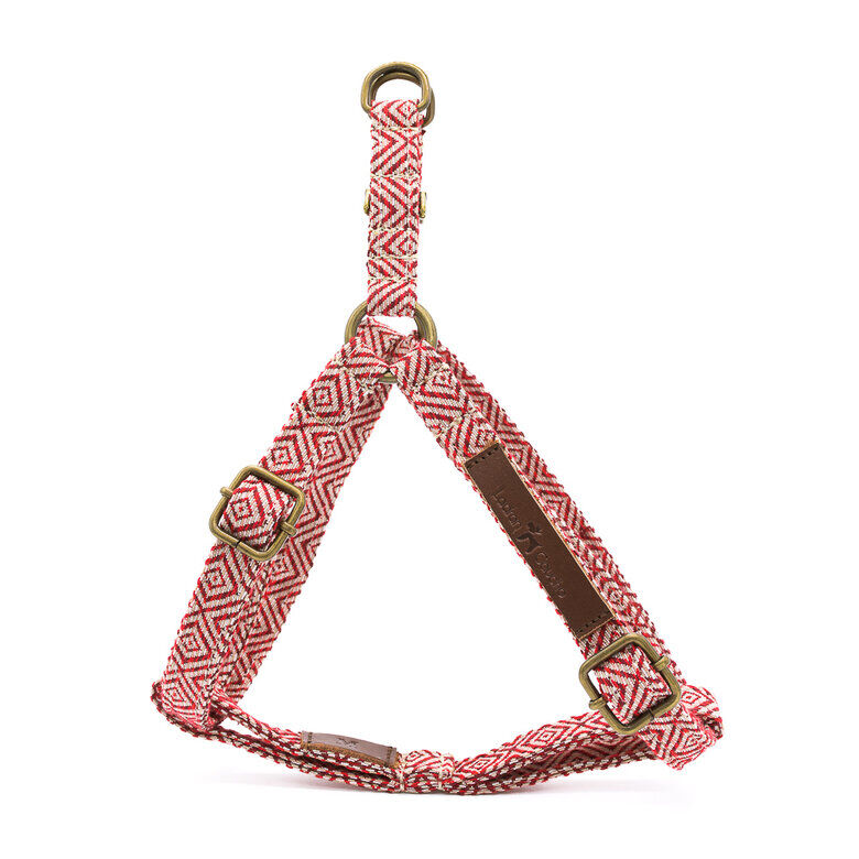 Ladran Gaucho Arn&eacute;s Mambo hecho a mano para perros, , large Imagen numero 1