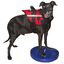 FitPAWS Disco de equilibrio para mascotas azul 36 cm, , large indicador imagen numero 3