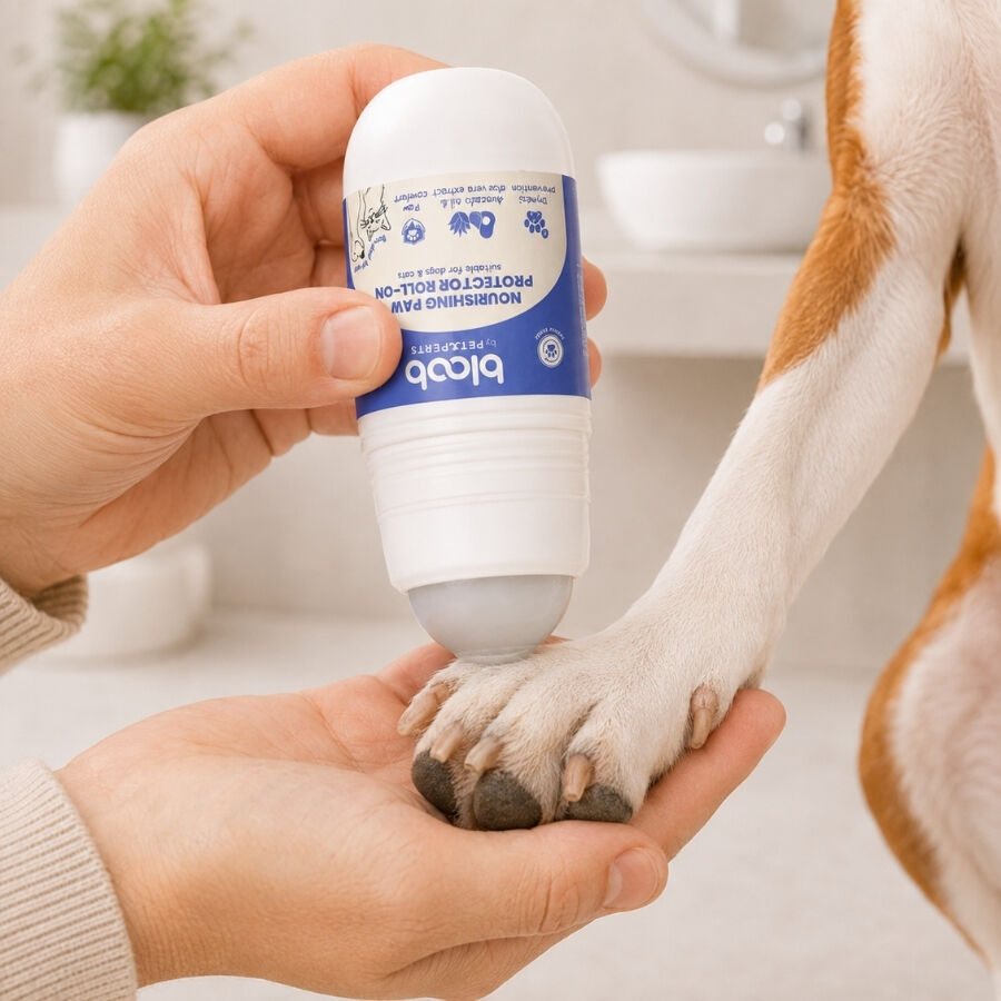 Bloob Protector de Almohadillas Roll-on para perros y gatos, , large Imagen numero 4