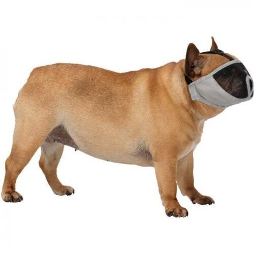 Trixie Bozal Razas Con Hocico Corto para perros, , large Imagen numero 3