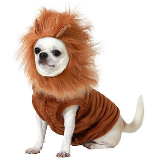 Atosa Disfraz León para perros especial halloween