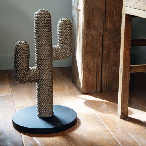 Cactus best sale rascador gatos