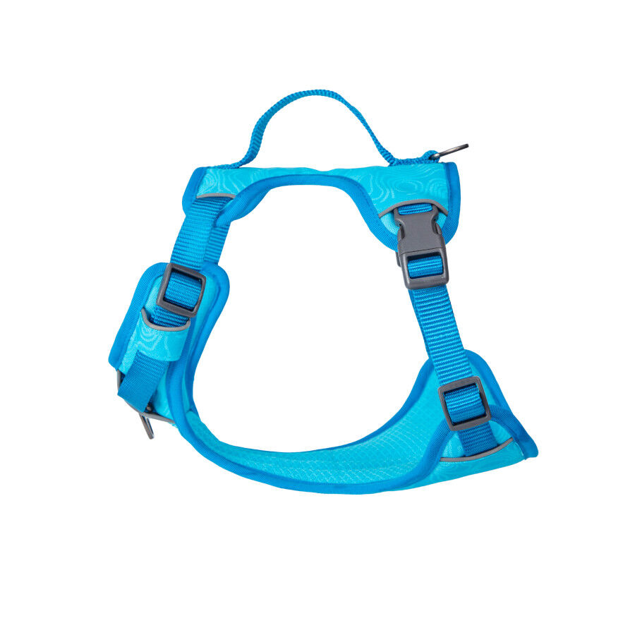 Freedog Cool Pro Tech Arn&eacute;s Refrescante Azul para perros, , large Imagen numero 5