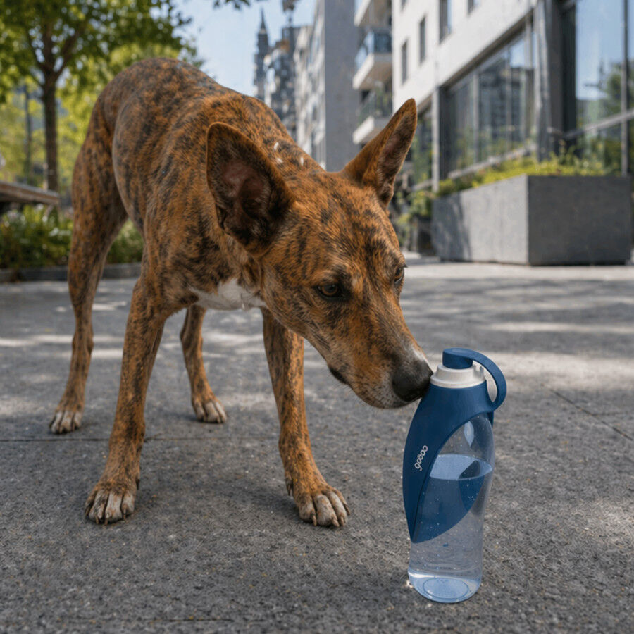 Gotoo Botella Bebedero Port&aacute;til de Silicona Azul para perros y gatos, , large Imagen numero 1