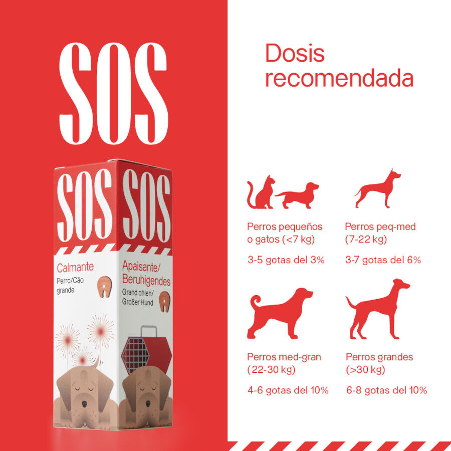 Dogs.Drops Oil 10% 1000mg CBD Salm&oacute;n, , large Imagen numero 4