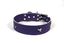 COLLAR DE PIEL LILA CON  ESTRELLA, , large indicador imagen numero 1