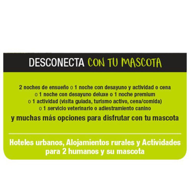 Desconecta con tu mascota TGBOX, , large image number null