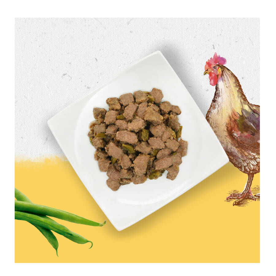 400 g Beyond Grain Free pollo lata para perros, , large Imagen numero 3