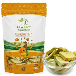 Pawfect Delicias veganas de un solo ingrediente: calabaza