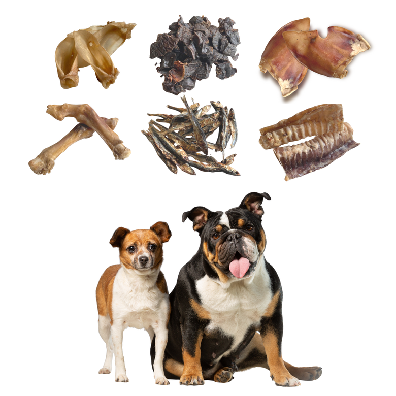 GLE PETS CAJA DE SNACKS NATURALES, REGALOS PARA PERROS, PREMIOS SALUDABLES, 6 BOSLAS VARIADAS, MORDEDORES NATURALES, CAJA AZUL, , large Imagen numero 2
