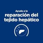 Hill's Prescription Diet Liver Care Pollo pienso para gatos, , large image number null