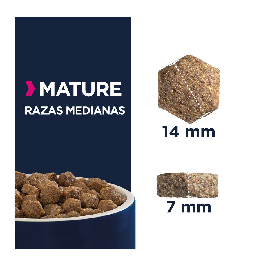12 kg Eukanuba Mature&Senior Medium pienso para perros, , large Imagen numero 2
