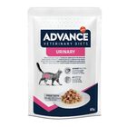 Advance Urinary sobre para gatos, , large image number null