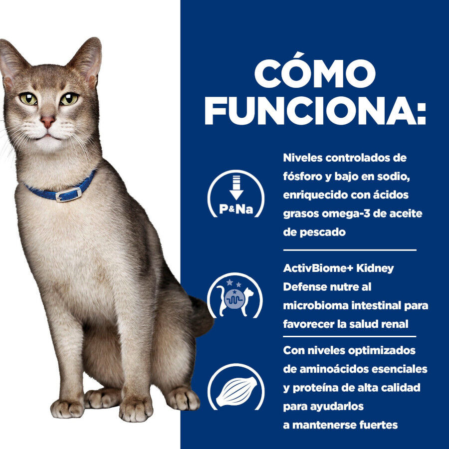 3 kg Hill's Prescription Diet kidney Care k/d salm&oacute;n pienso para gato, , large Imagen numero 10