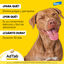 AdTab Comprimidos Masticables Antiparasitarios para perros, , large indicador imagen numero 7