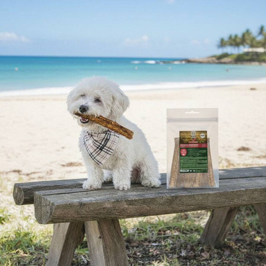 True Origins Salchichas de Pollo Snack para perros, , large Imagen numero 1