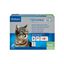 Virbac Effipro Duo Pipetas Antiparasitarias para gatos, , large indicador imagen numero 1