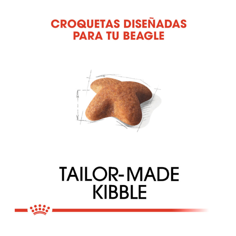 Royal Canin Adult Beagle pienso para perros thumbnail