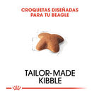 Royal Canin Adult Beagle pienso para perros, , large image number null