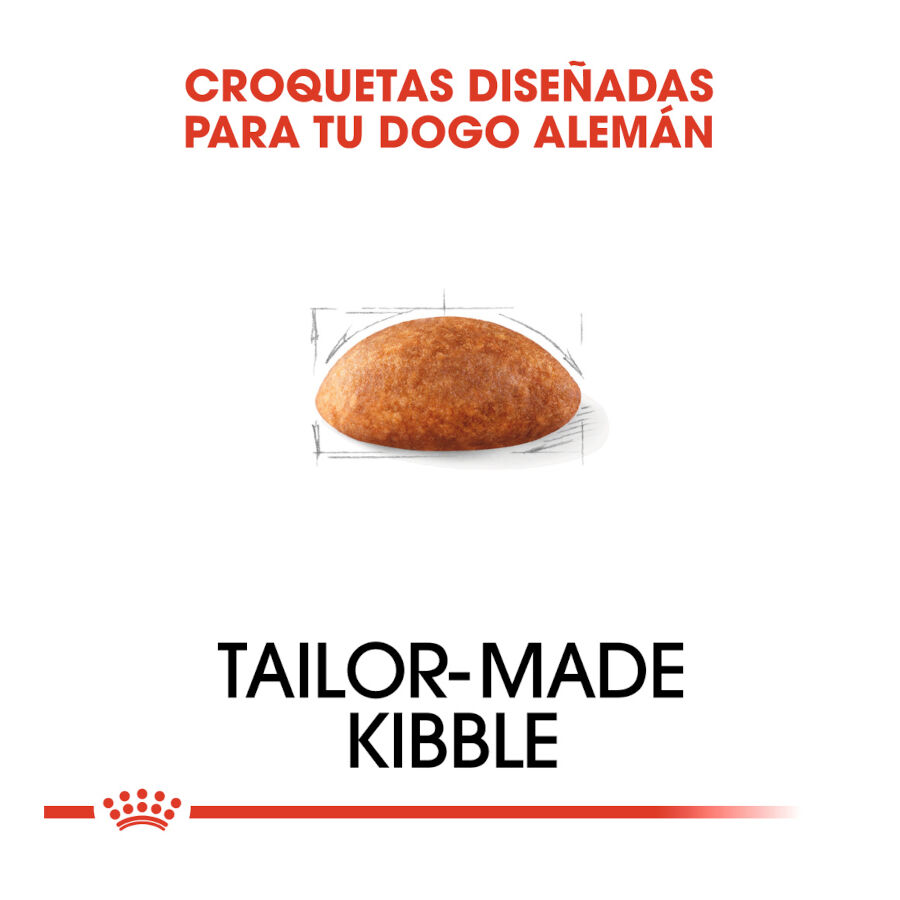 Royal Canin Adult Great Dane pienso para perros thumbnail