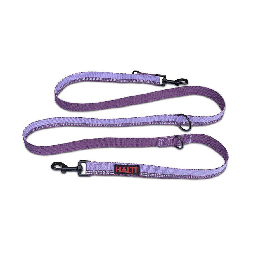 Halti correa de doble enganche morada para perros, , large Imagen numero 1