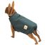 Chubasquero Siberia para perros color Azul Pavo, , large indicador imagen numero 1