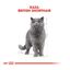 85 g Royal Canin Sobre en Salsa British Shorthair Adult, , large indicador imagen numero 3