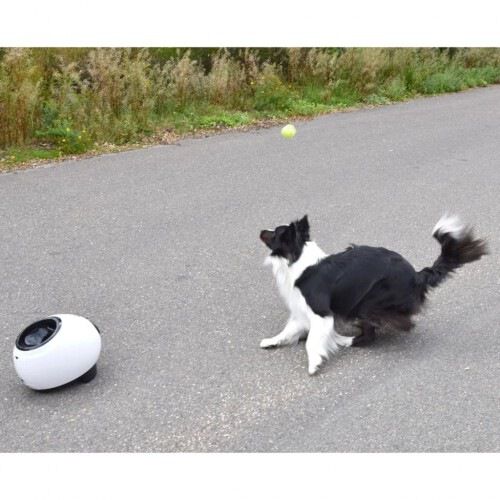 Lanzador de pelota color Blanco, , large Imagen numero 4