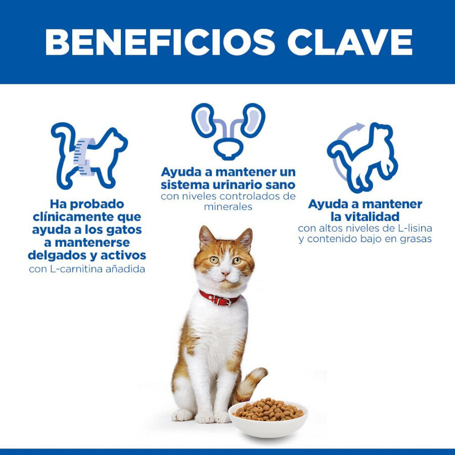 3 kg Hill's Science Plan Sterilised Young Adult Pato pienso para gatos, , large Imagen numero 5