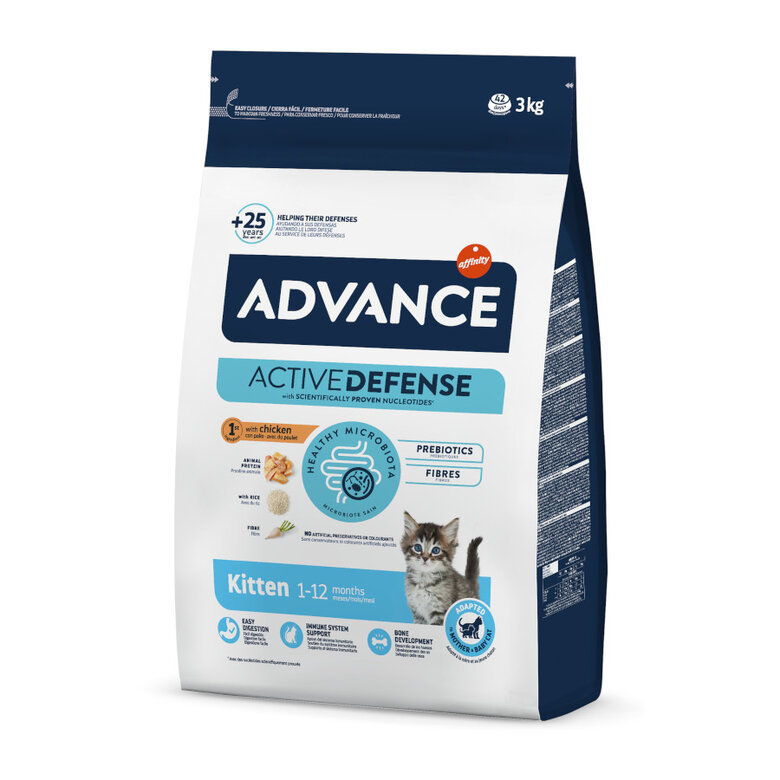 Advance Kitten