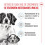 15 kg Royal Canin Medium Starter Mother&Baby pienso para perros, , large indicador imagen numero 3