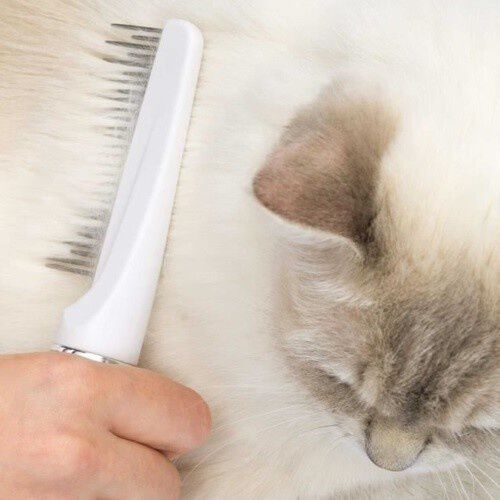 Catit Grooming Kit de belleza para gatos de pelo largo thumbnail