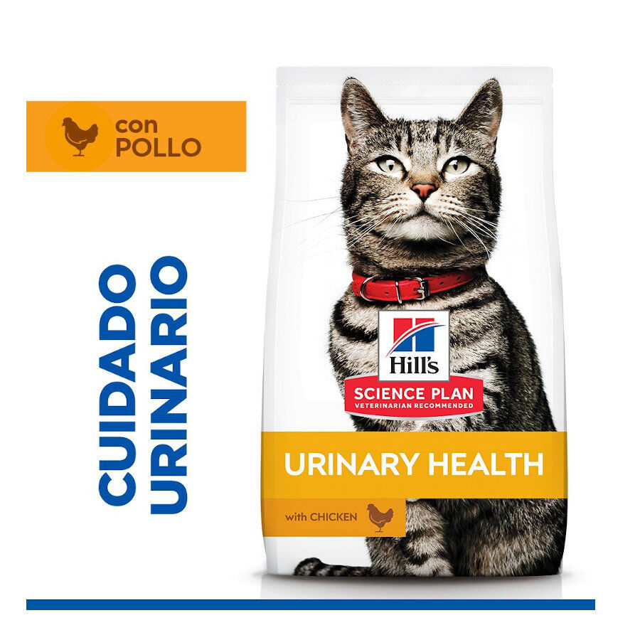 1.5 kg Hill's Urinary Pollo pienso para gatos, , large Imagen numero 2